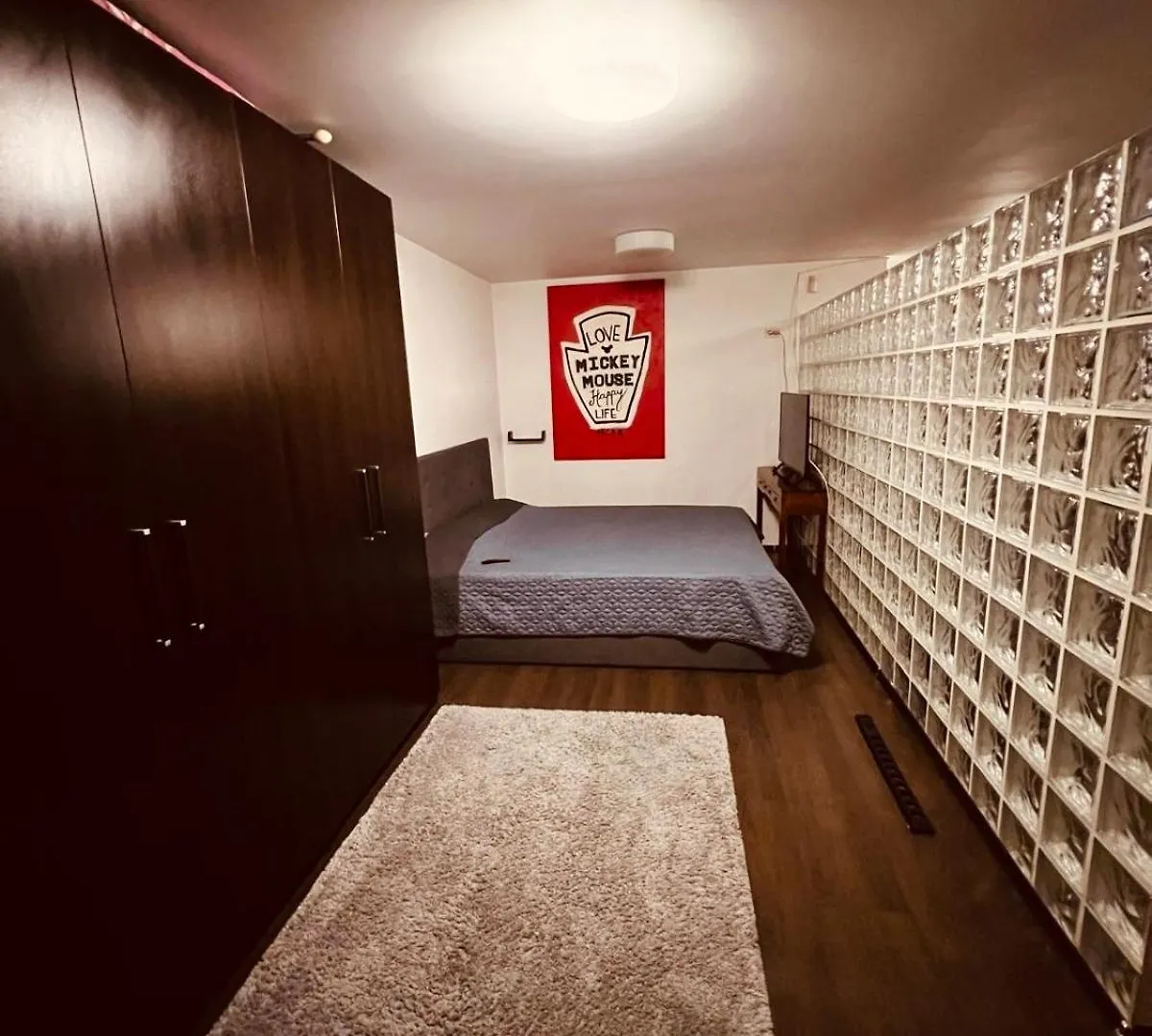 Apartment Flavia Bucharest