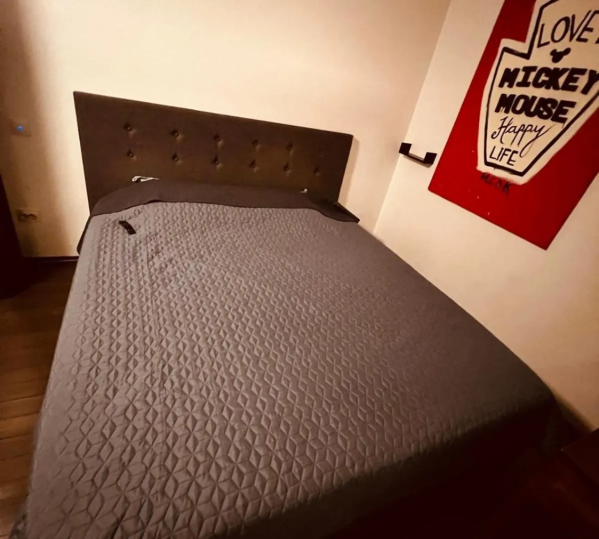 Apartment Flavia Bucharest