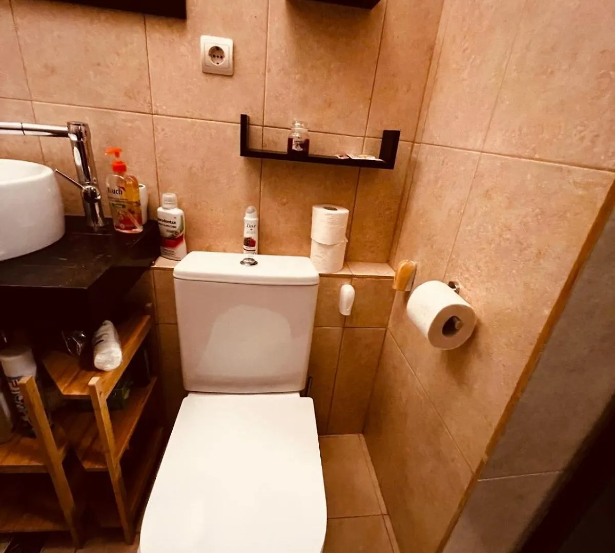 Apartment Flavia Bucharest